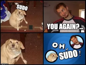 sudo's latest "trick": when chroot and nsswitch conspire against you (cve-2025-32462)